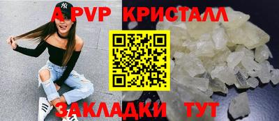 стаф Кинель