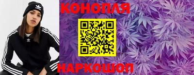 стаф Кинель