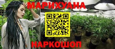 стаф Кинель