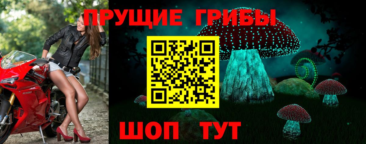 Галлюциногенные грибы ЛСД Шарыпово