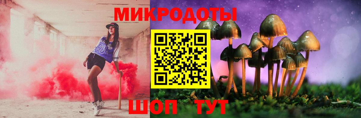 Псилоцибиновые грибы прущие грибы  Псилоцибиновые грибы Psilocybe  Шарыпово  Вход с VPN 